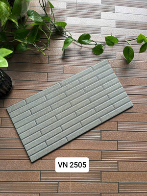 Việt Nhật VN 2505